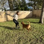 Balance Together Dog Training